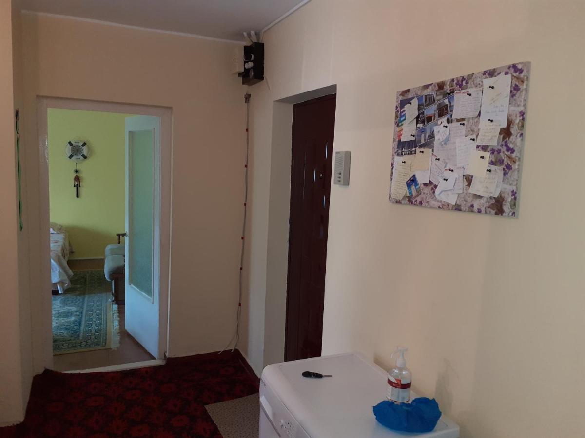 Apartament Callatis 曼加利亚 外观 照片
